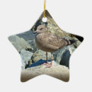 Recherche de crâne animal ornements Oiseau