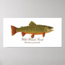 Search for brook trout art Fly fishing