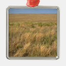 Search for nebraska ornaments Prairie