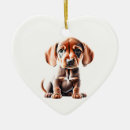 Search for coonhound ornaments Animal
