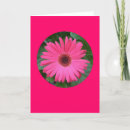 Search for gerber daisies cards Flora