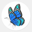 Search for butterfly drawing stickers Wildlife