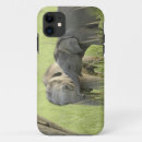 Search for indian elephant iphone cases Corbett national park