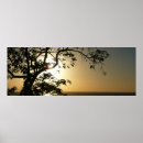 Search for tropical posters Trees