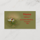 Recherche de coccinelles cartes visite Insecte de dame