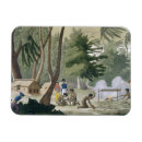Recherche de tribu magnets 19e