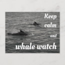 Recherche de baleines cartes postales Île