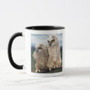 Search for baby owl mugs Wildlife
