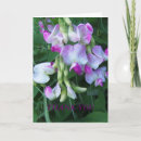 Recherche de pois doux vœux cartes Floral