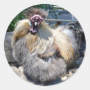 Search for silkies stickers Fluffy