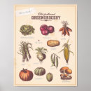 Search for vegetable art Kitchen