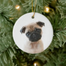 Search for pug ornaments Adorable