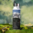 Search for serene water bottles Mountain