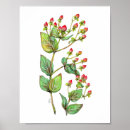 Search for leaf vegetable posters Plant