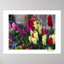 Search for beautiful garden posters Landscape