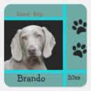 Search for weimaraner dog stickers Pet