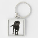 Search for black labrador retriever keychains Cute