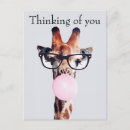 Recherche de girafe et bébé cartes postales Animaux mignons