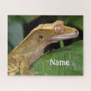 Search for exotic puzzles Pet