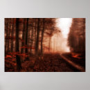 Search for foggy posters Photography