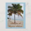 Search for cayman islands postcards Palm tree