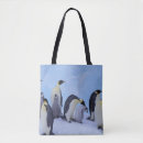 Search for antarctica bags Snow