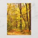 Search for autumn landscapes postcards Foliage