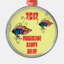 Search for hurricane ornaments Sandy