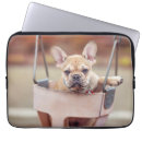 Search for purebred electronics French bulldog