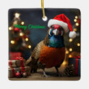 Search for santa hat ornaments Animal