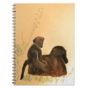 Recherche de primates carnets Sauvage