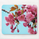 Search for spring cherry blossom mousepads Nature