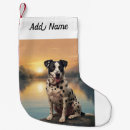 Recherche de chien dalmatien maison deco Animaux de compagnie