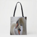 Search for black swans accessories Orange