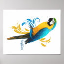 Search for gold macaw posters Colourful