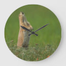 Recherche de gordon illg horloges Cathy