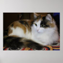 Search for cute posters Red