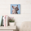 Search for french bulldog clocks Purebred dog