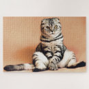Recherche de funny cat puzzles Drôle