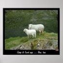 Search for baa baa posters Sheep
