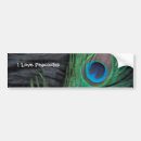 Search for birds of a feather bumper stickers Peacock