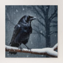 Search for raven puzzles Animal