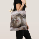 Recherche de somnolent sacs Chat