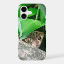 Search for baby animal electronics Rabbit