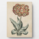 Recherche de botanique plaques Fleurs