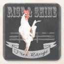 Search for home on range coasters Animal