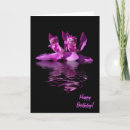 Search for dramatic orchid Flower