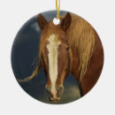 Search for draught ornaments Belgian