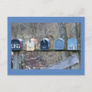 Search for mailbox postcards Photography