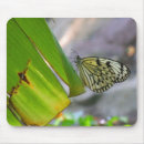 Search for butterfly mousepads Wildlife